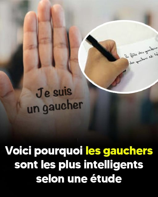 les gauchers-min (1) les gauchers-min (1)
