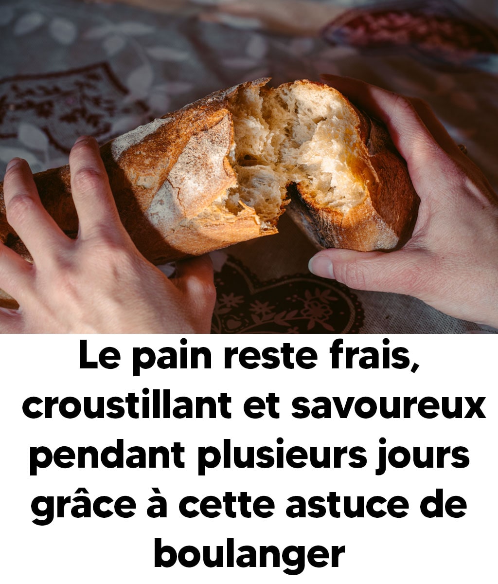 le pain reste frais-min le pain reste frais-min