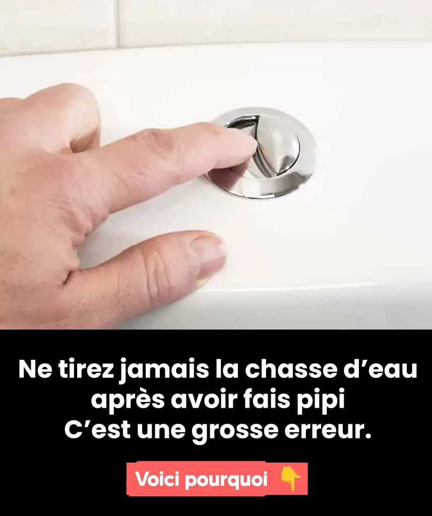 chasse toilette-min