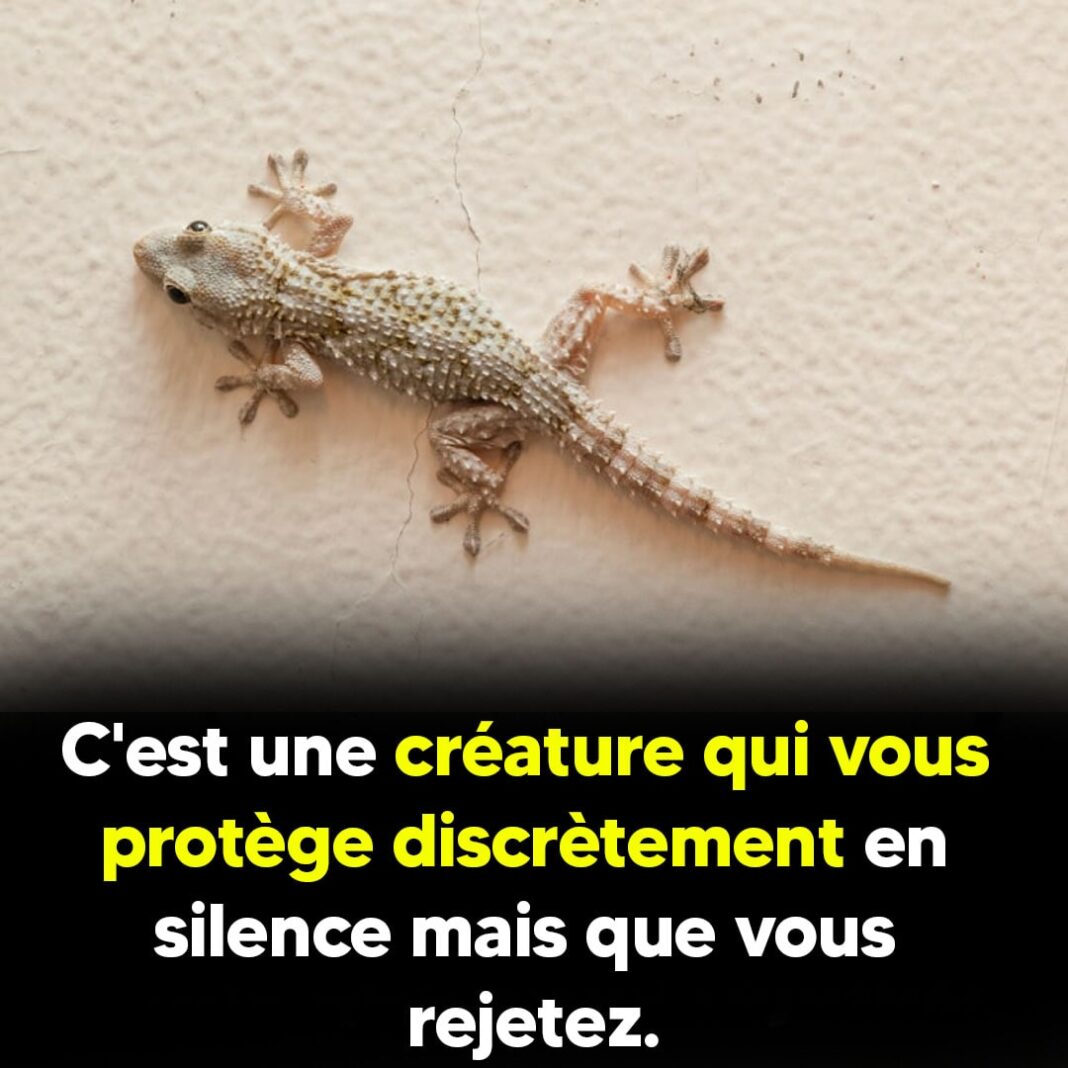 creature en silence-min