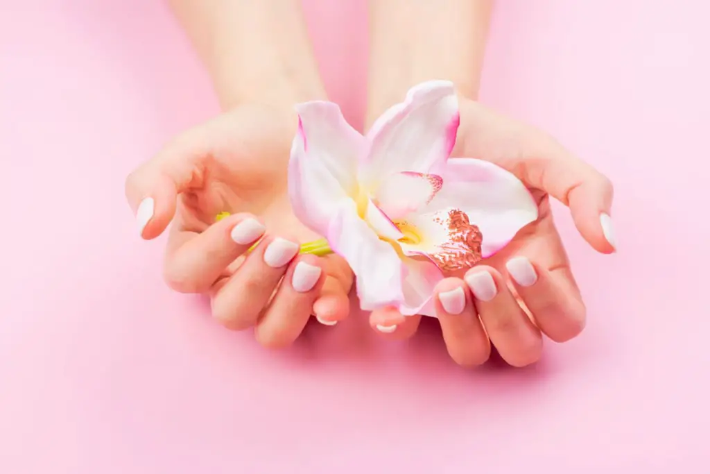 flore-intime-microbiote-vaginal-min
