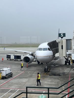 savannah aeroport-min