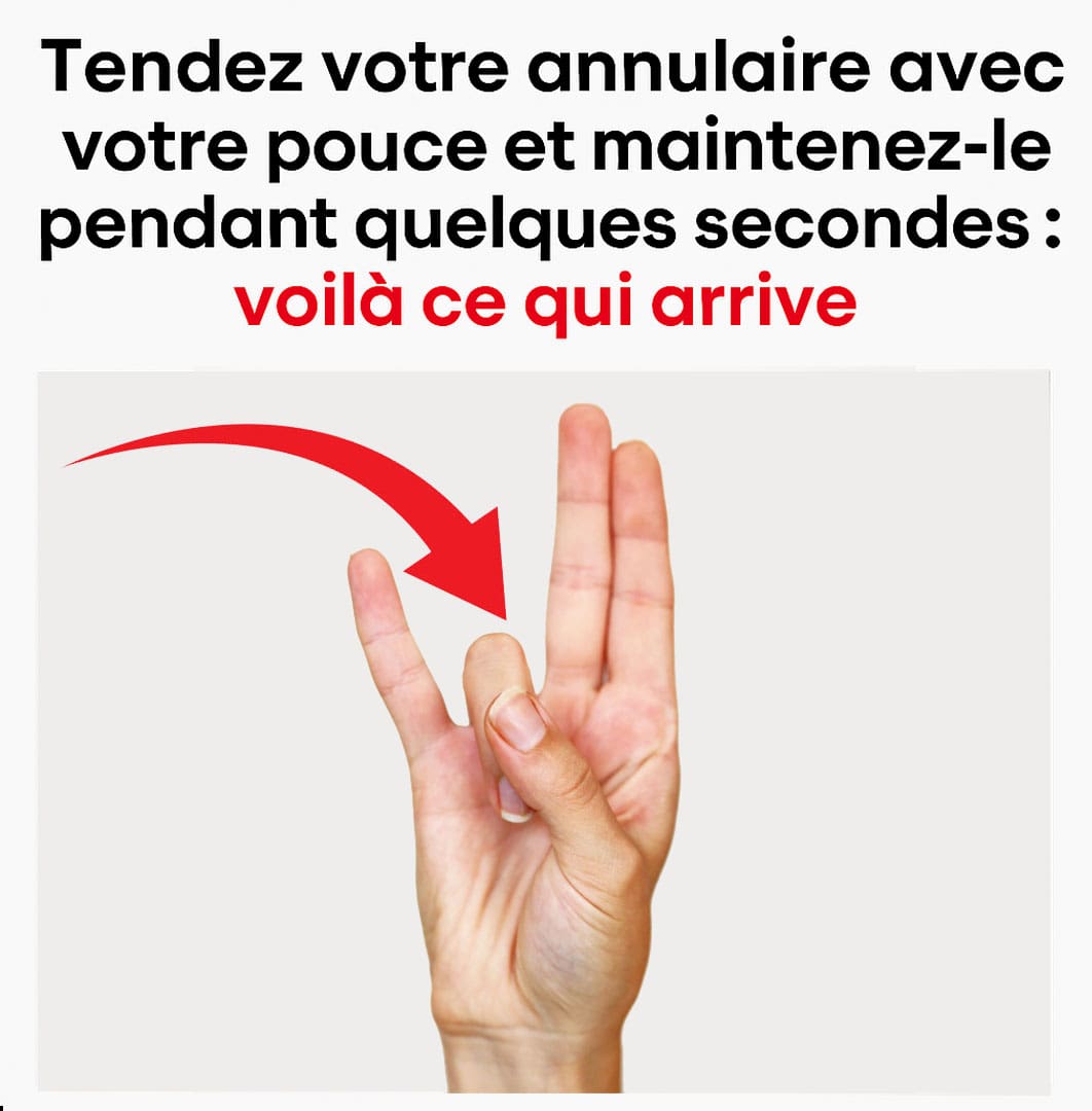 tendez annulaire-min tendez annulaire-min