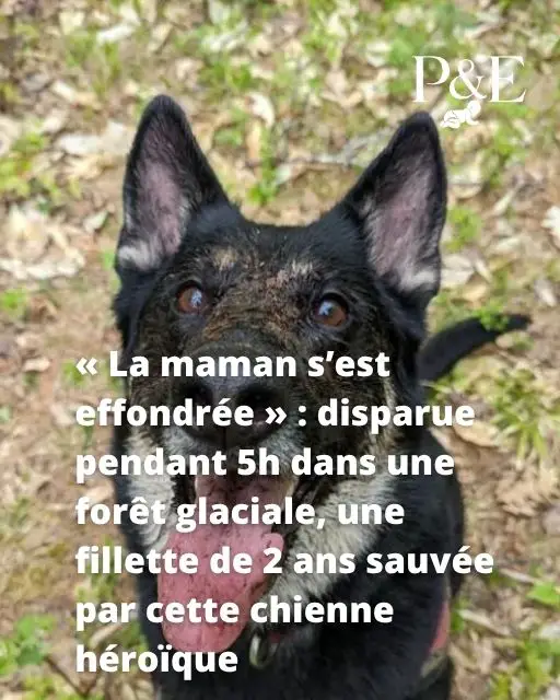 La maman est effondrée-min La maman est effondrée-min