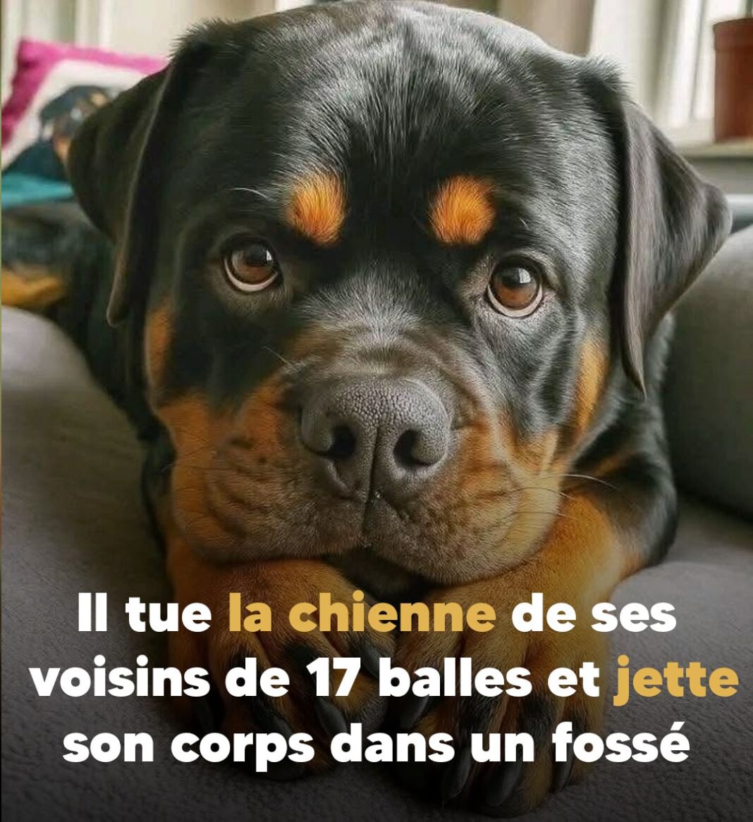 la chienne-min