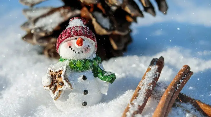snowman-g80b43e840_1920-800x445-min