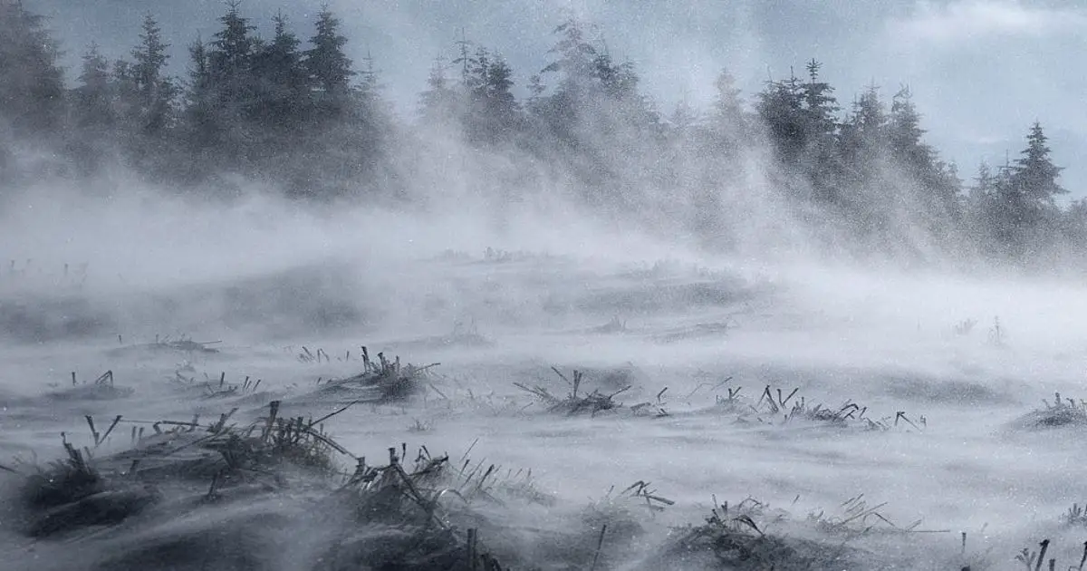 Un souffle glacial venu du Grand Nord-min