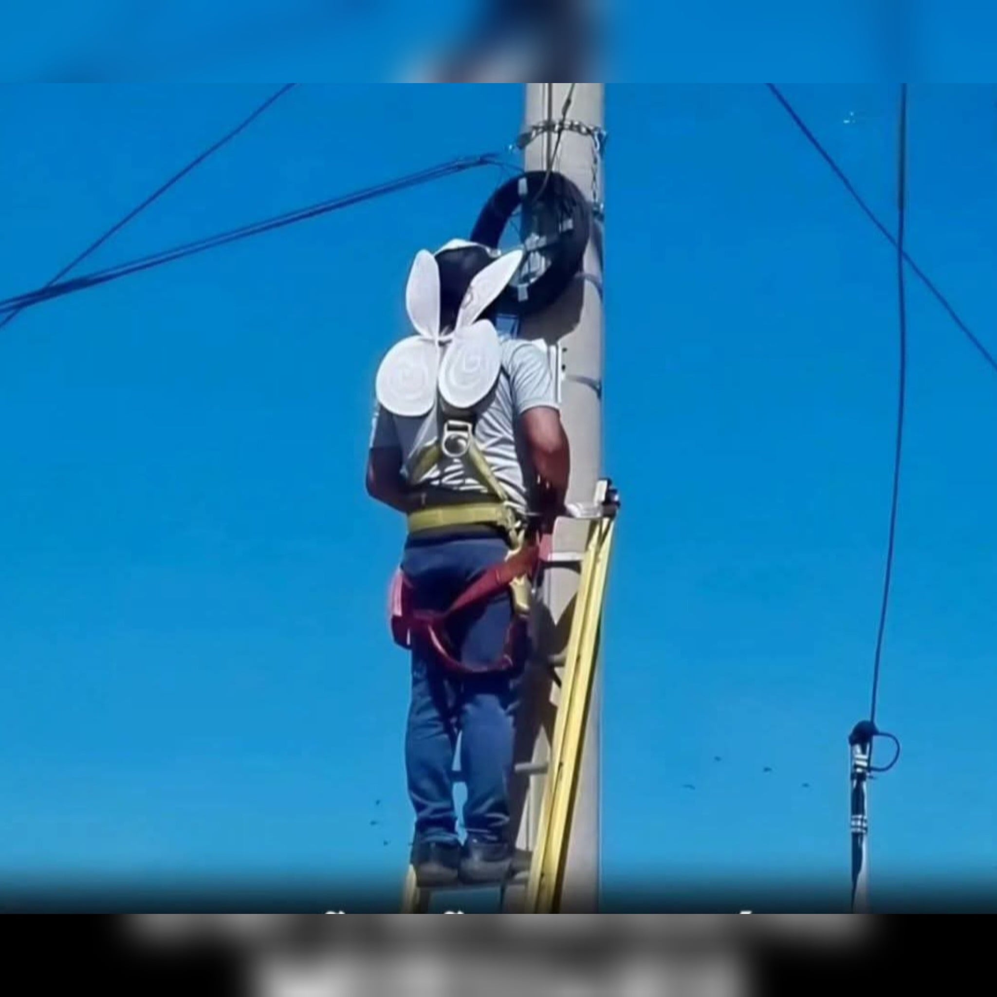 papa avec des ailles-min