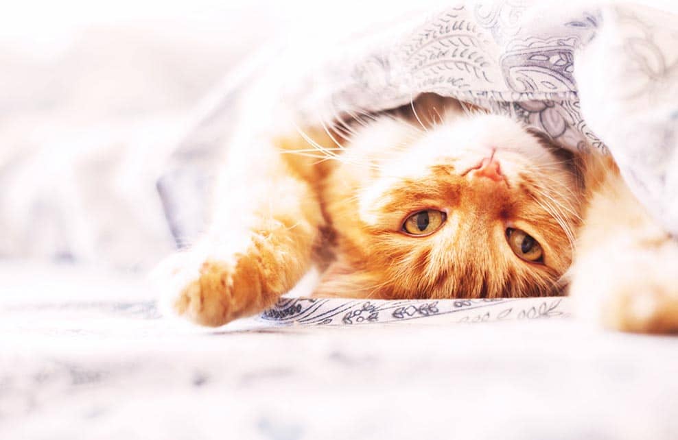 une forme de communication-min