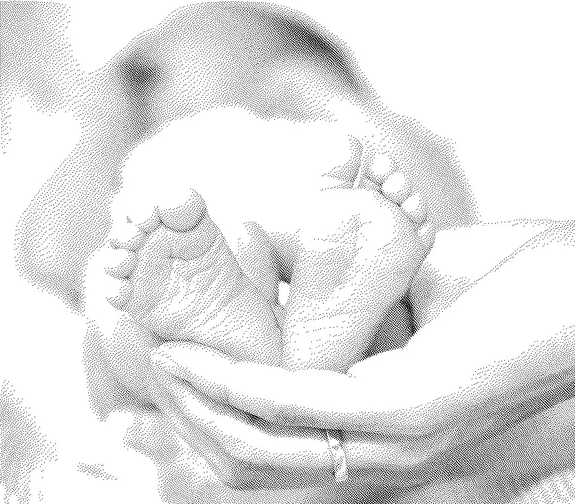 réarmement démographique