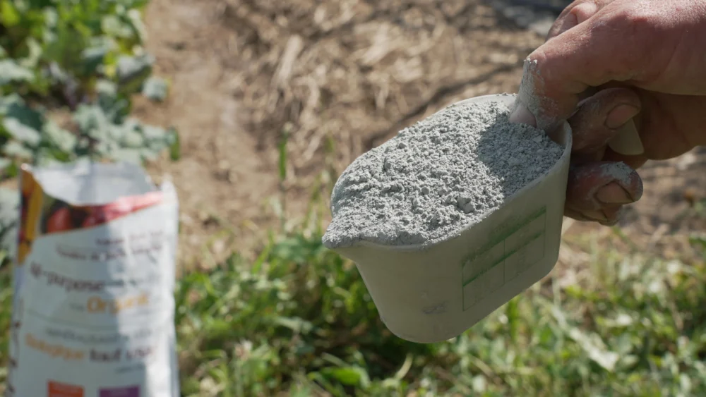 la poudre de roche volcanique