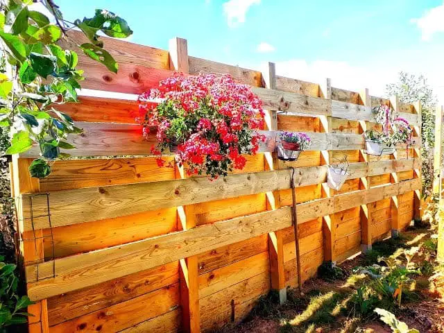 une clôture en palettes-MIN