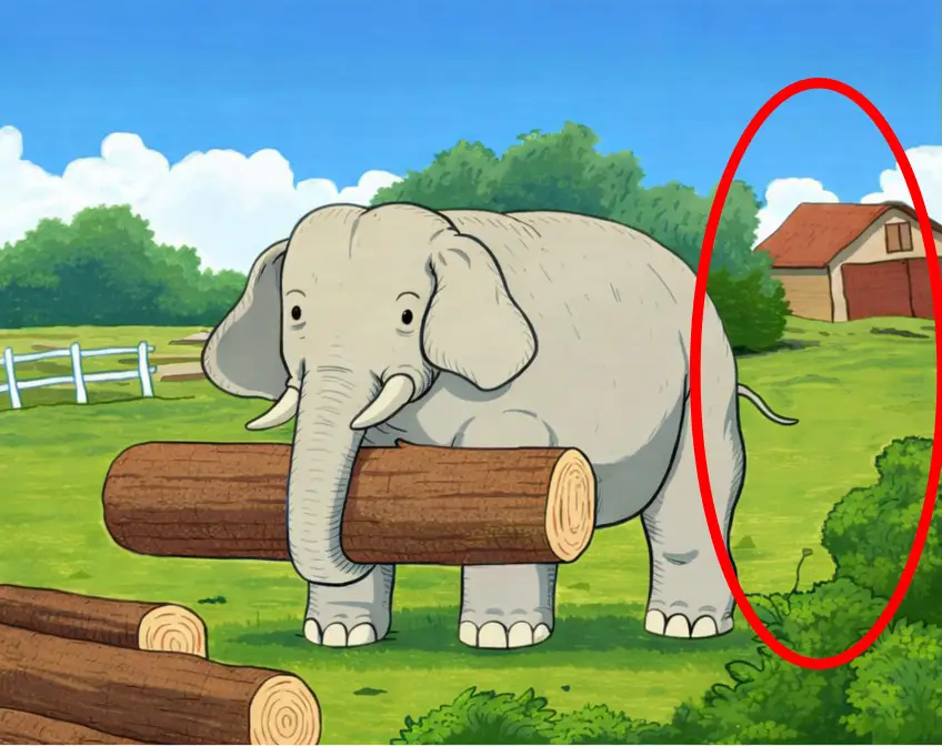 solution cheval caché