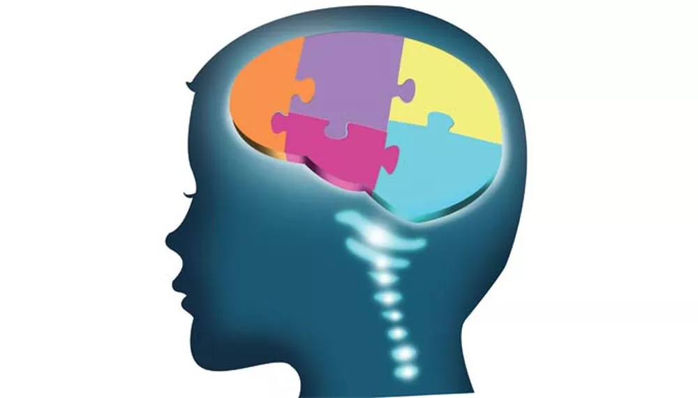 Un cerveau qui se développe