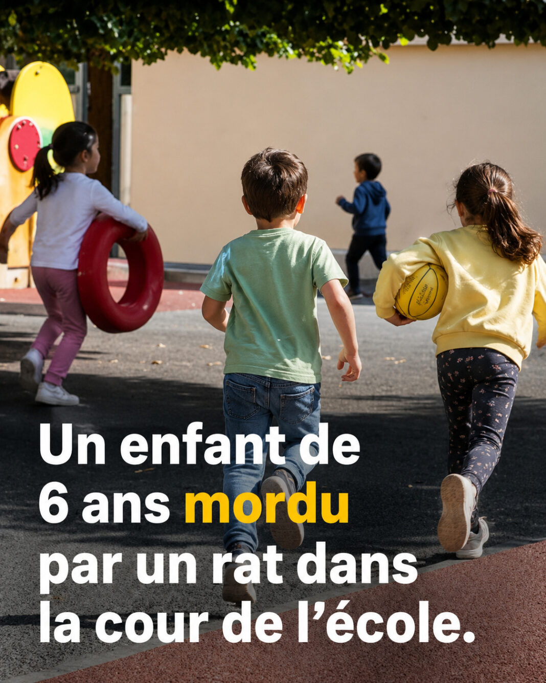 rat ecole