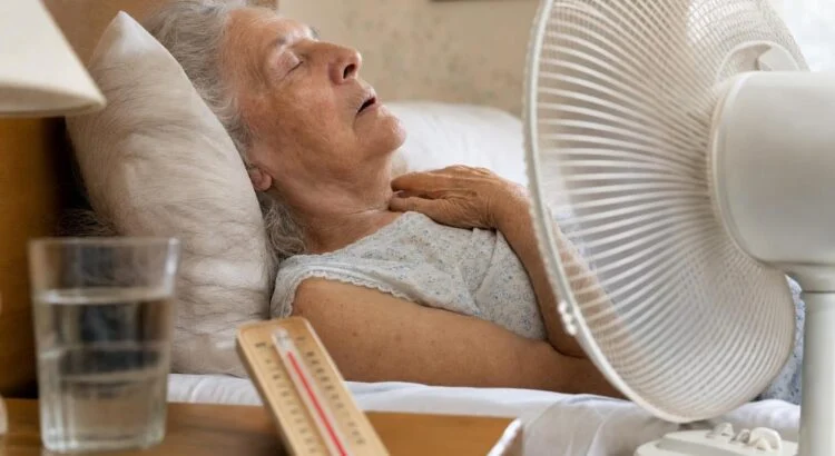 canicule