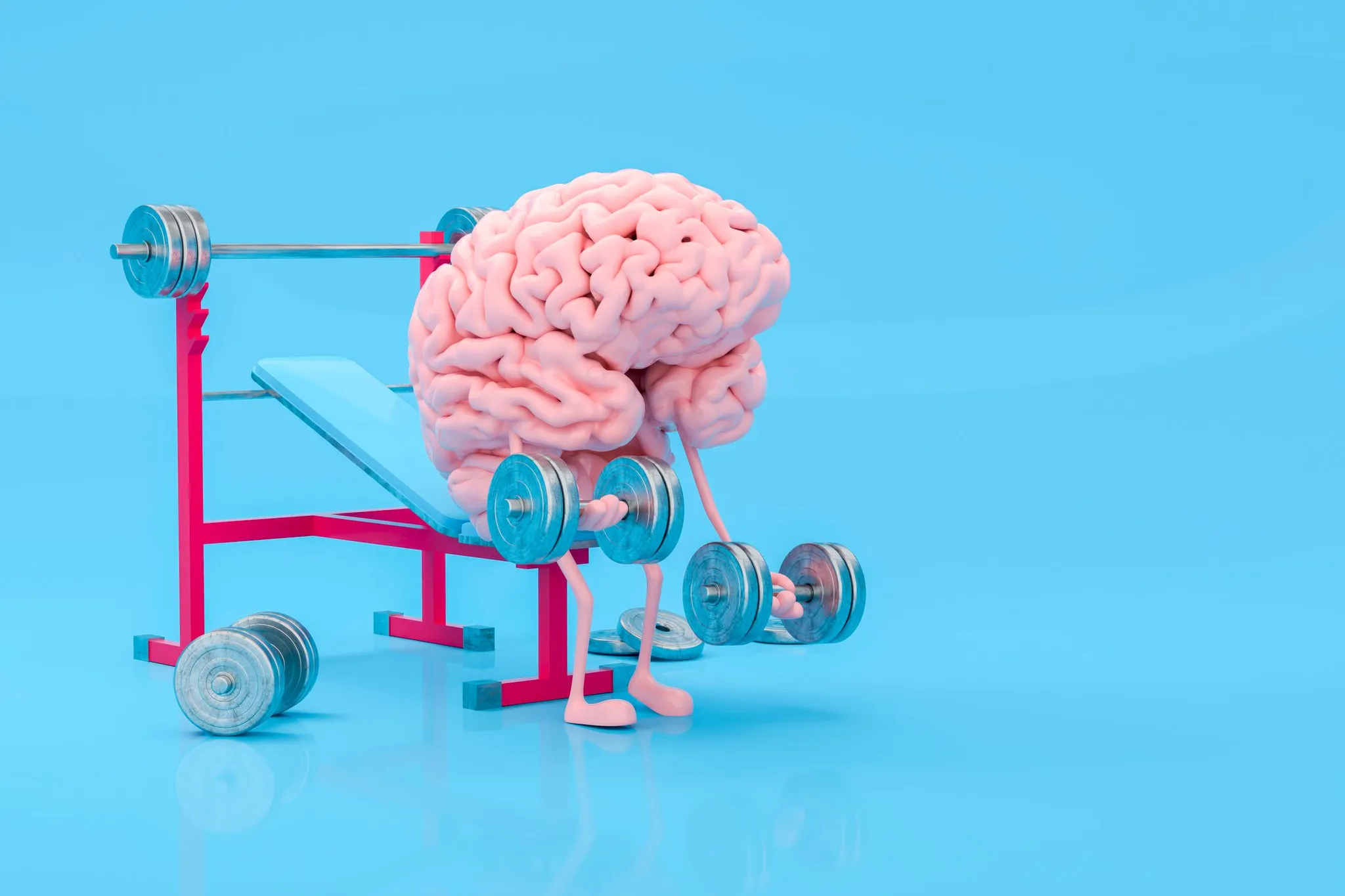 entrainement cerveau