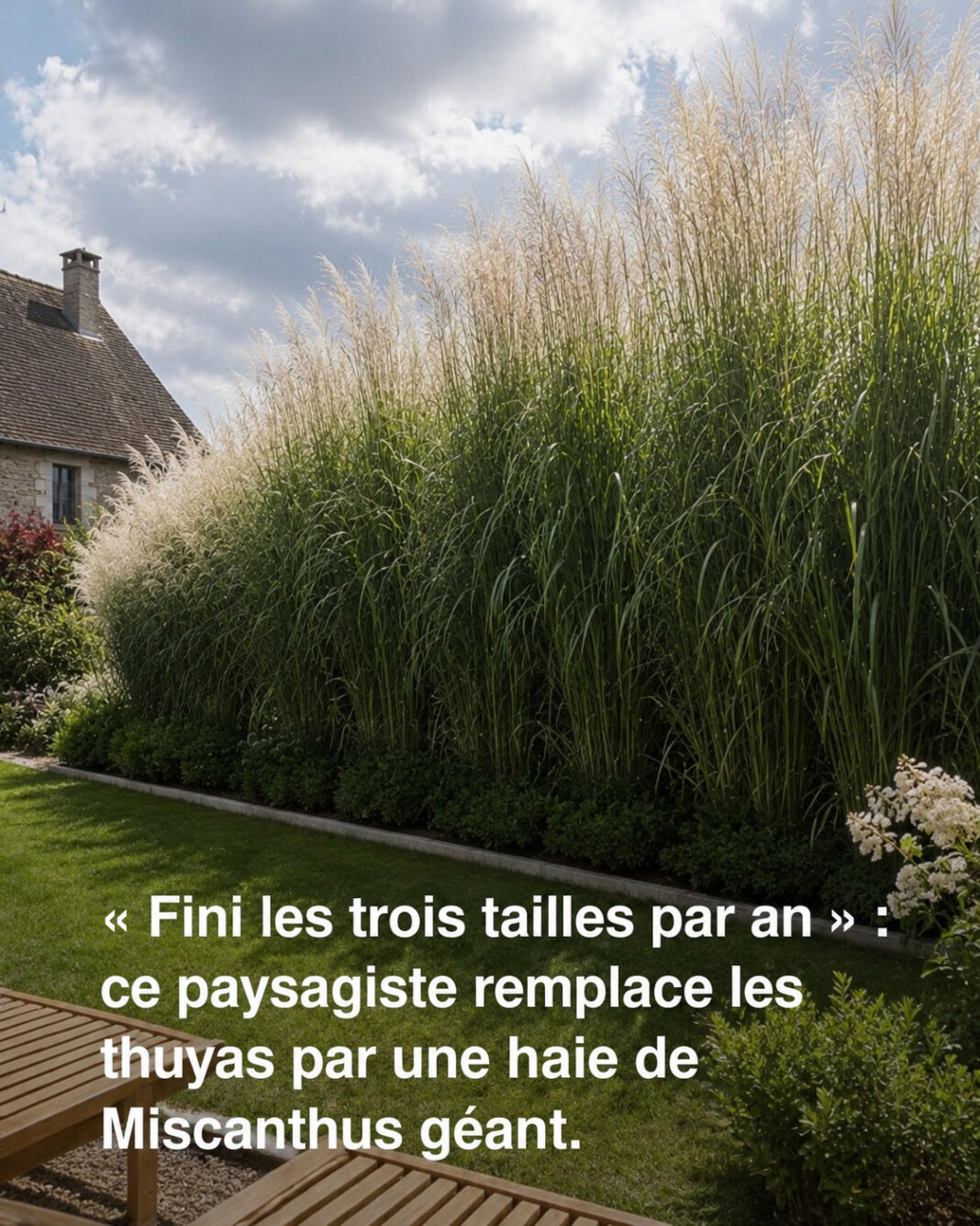 fini les 3 tailles