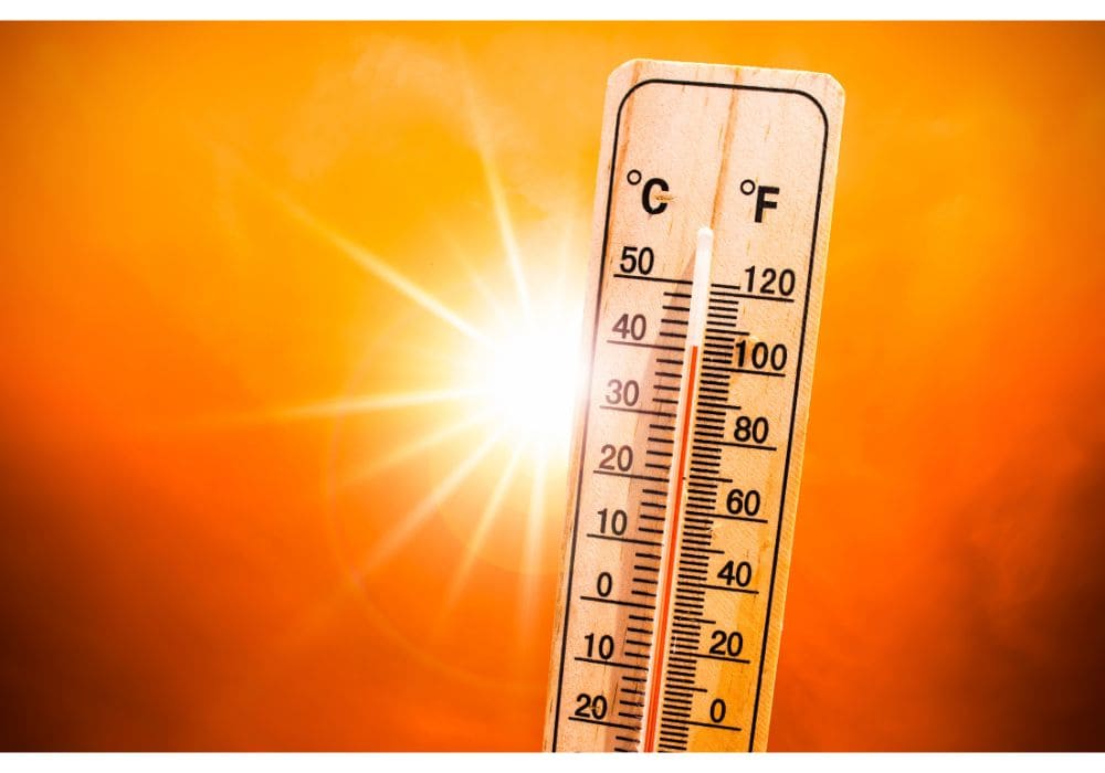 canicule fr